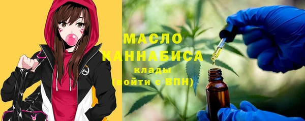 индика Волоколамск