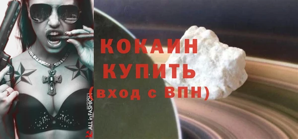 индика Волоколамск