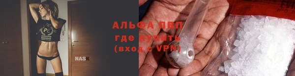 индика Волоколамск
