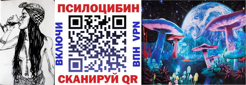 где найти Юхнов Псилоцибиновые грибы мицелий